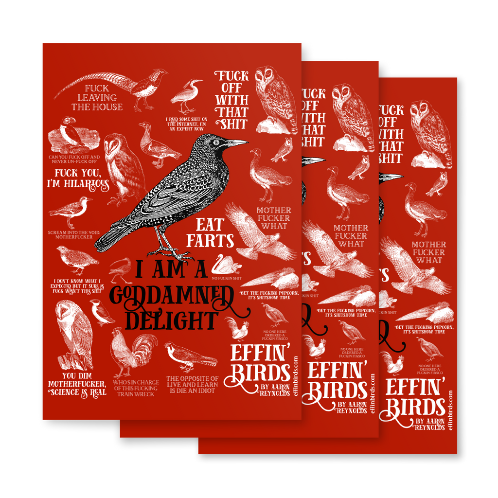 Shitmas Wrapping Paper Sheets – EFFIN BIRDS
