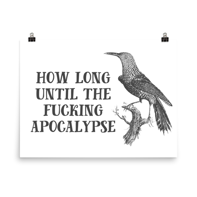 How Long Until The Fucking Apocalypse Print Effin Birds 9605